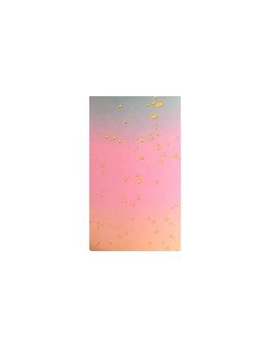 Platos degradados pastel ,23 cm, 6uds